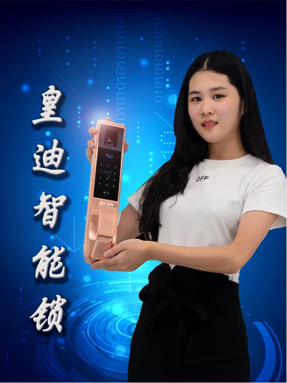 皇迪家用智能锁